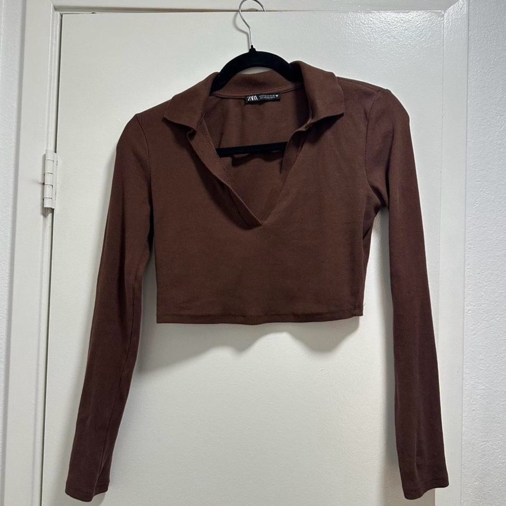 Zara Chocolate Brown Long Sleeve Crop Top